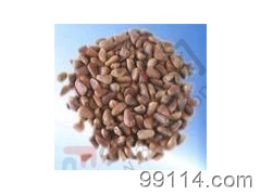 出售優(yōu)質(zhì)把玩核桃苗 其他種子、種苗 找產(chǎn)品 保定電子商務(wù)門戶網(wǎng)站 保定114網(wǎng) 電子商務(wù) 保定企業(yè)門戶網(wǎng)站 保定網(wǎng)站建設(shè) 企業(yè)用網(wǎng)政府指定單位 幫助所有企業(yè)做成網(wǎng)上的B2B生意