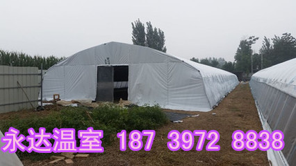 運城大棚建設(shè)公司山西晉城食用菌溫室大棚搭建造價