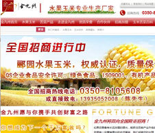 營(yíng)銷(xiāo)型網(wǎng)站建設(shè)